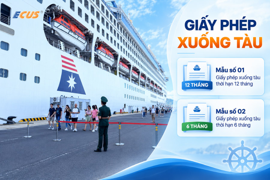 Thành phần hồ sơ của Giấy phép xuống tàu 