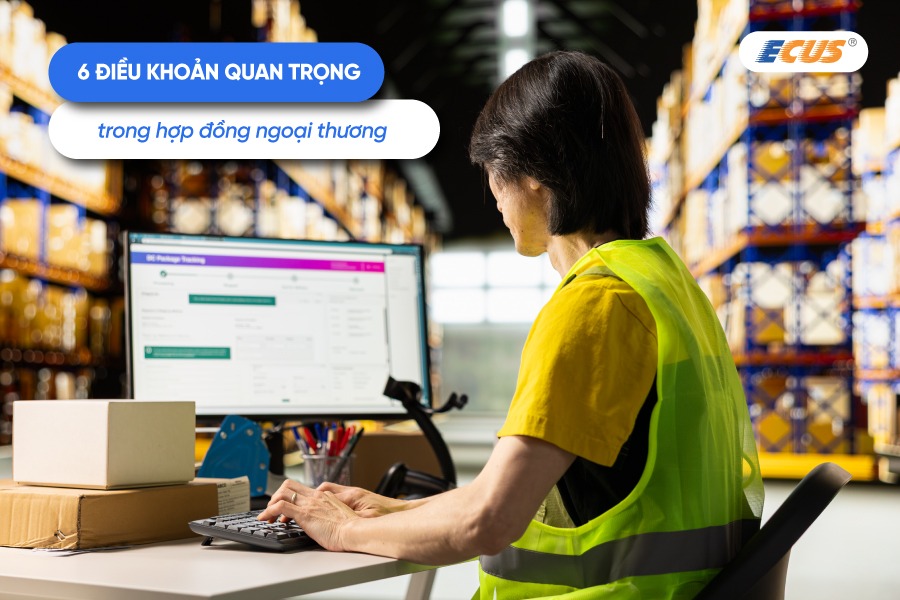 Nội dung quan trọng trong hợp đồng ngoại thương
