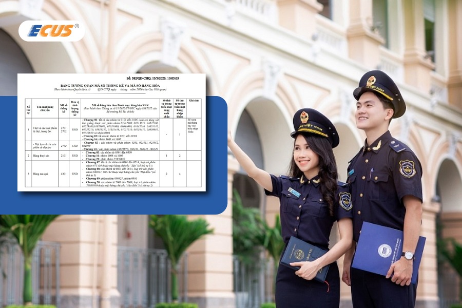 Bảng mã số thống kê - công cụ hỗ trợ doanh nghiệp tra cứu, phân loại hàng hóa nhanh chóng và đúng quy định.