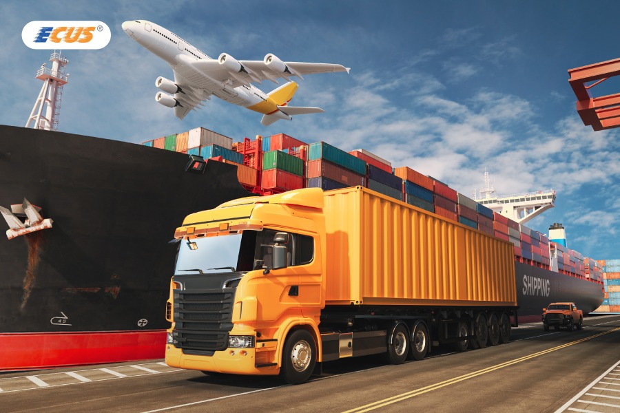 Một số đối tượng được miễn thuế nhập khẩu theo quy định.