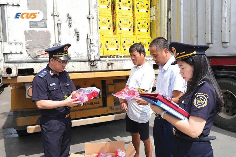 Hiểu rõ bảng tương quan mã số giúp hạn chế sai sót, tránh rủi ro về thuế và xử phạt trong hoạt động xuất nhập khẩu.