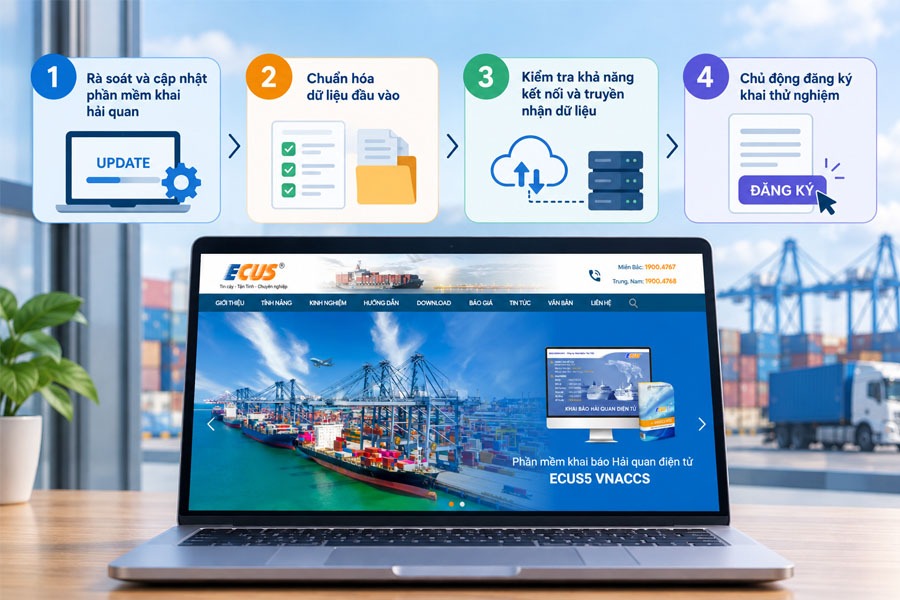 Rà soát và cập nhật phần mềm khai hải quan.