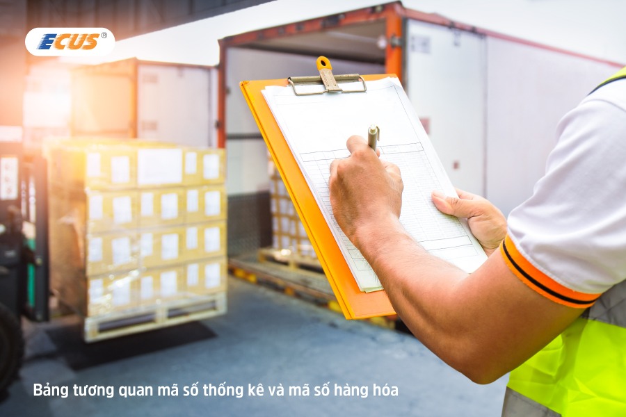 Việc đối chiếu mã số thống kê với mã hàng hóa (HS code) là bước quan trọng để đảm bảo tính nhất quán trong báo cáo và thông quan.