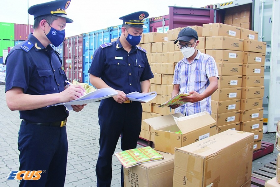 Kiểm tra hồ sơ hải quan tại cảng.