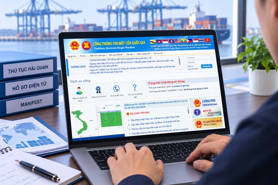 Cách khai E-Manifest và hướng dẫn chỉnh sửa khi khai sai 