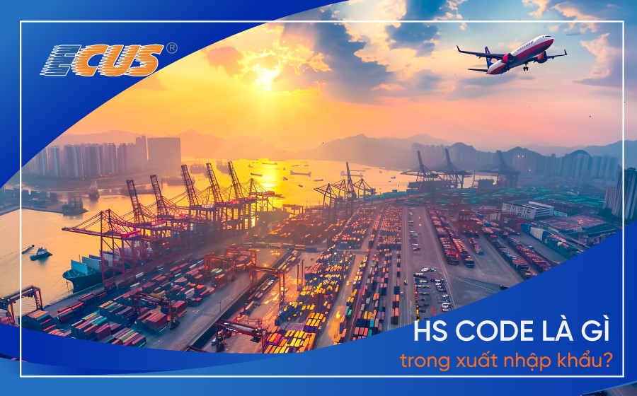 HS Code trong xuất nhập khẩu