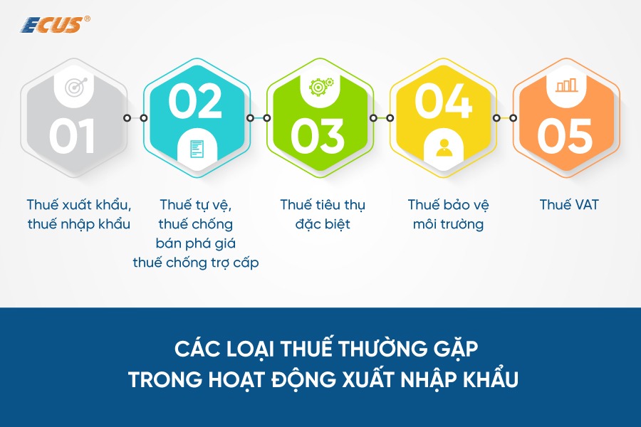 05 loại thuế thường gặp trong hoạt động XNK hàng hóa