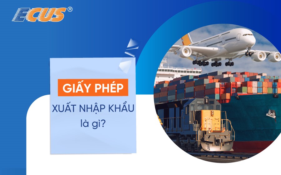 Giấy phép xuất nhập khẩu