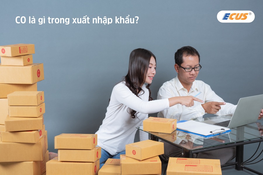 CO là một chứng từ không thể thiếu trong bộ hồ sơ hải quan