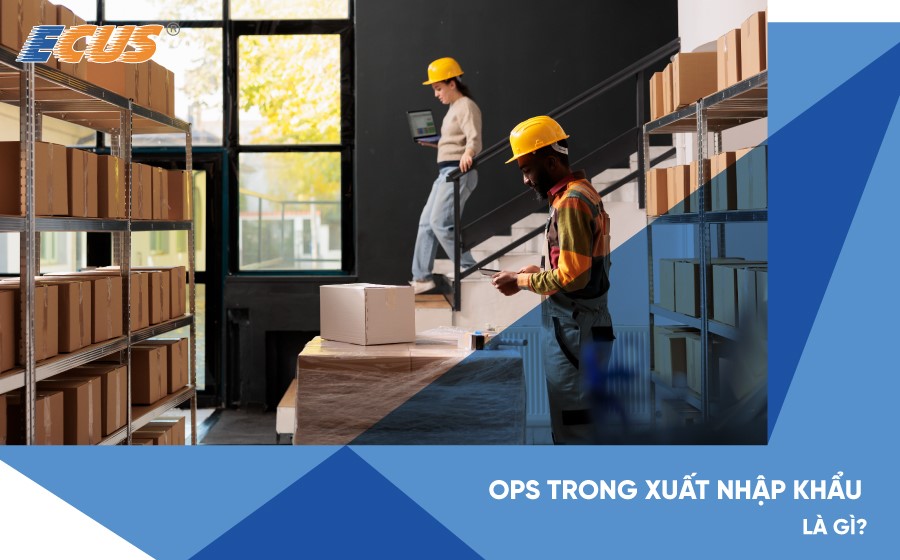 OPS trong xuất nhập khẩu