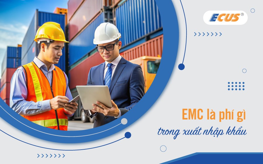 Chi phí ECM trong lĩnh vực xuất nhập khẩu