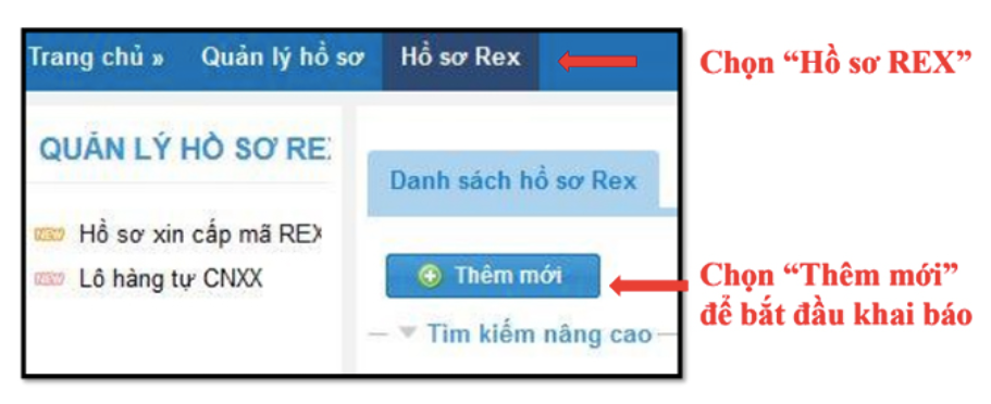 Chọn hồ sơ REX