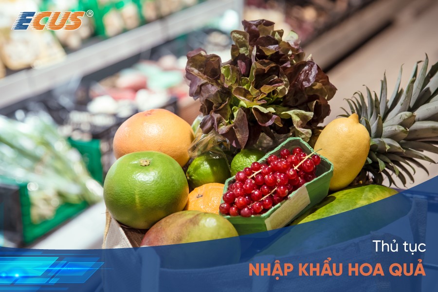 Thủ tục nhập khẩu hoa quả