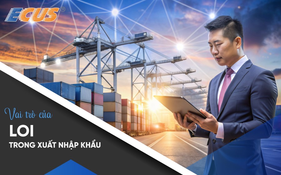 Tầm quan trọng của LOI trong xuất nhập khẩu