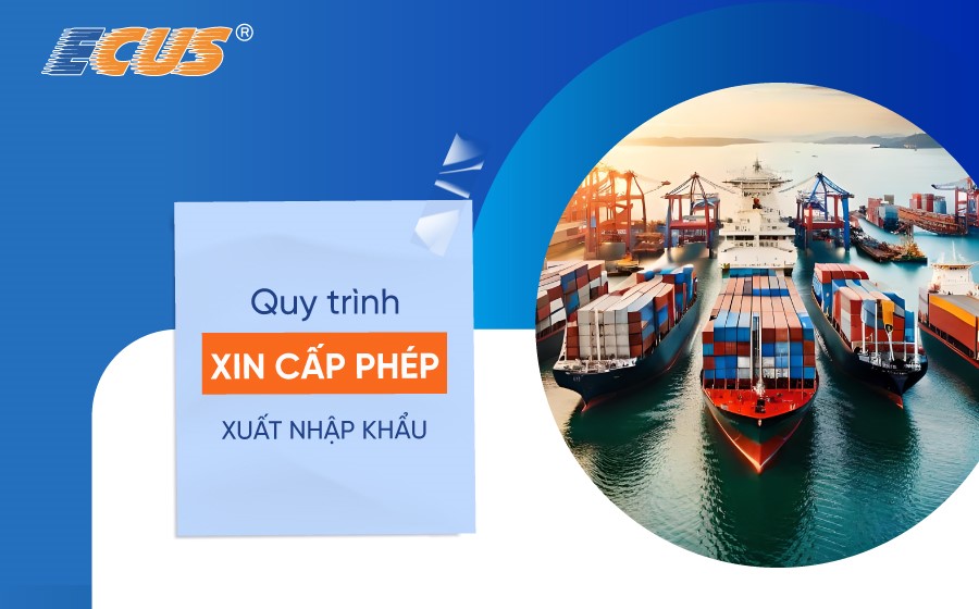 Thủ tục xin giấy phép xuất nhập khẩu