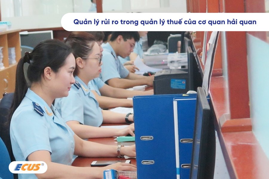 Quản lý rủi ro trong quản lý thuế của Cơ quan hải quan được quy định trong Luật quản lý thuế 2019