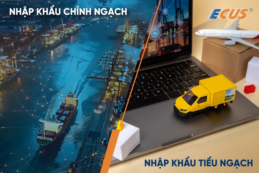 Nhập khẩu chính ngạch và tiểu ngạch