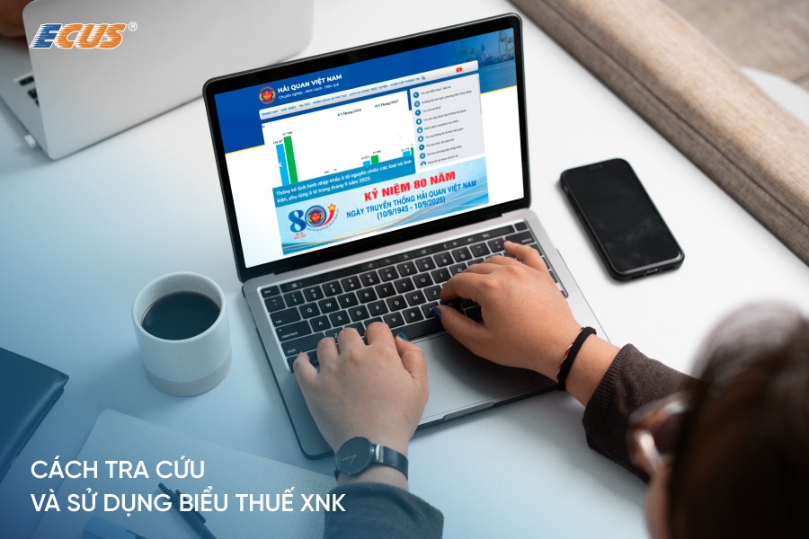 Hướng dẫn Doanh nghiệp tra cứu và sử dụng biểu thuế XNK