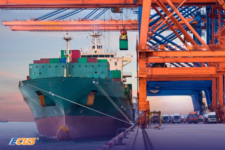 Tàu container tại cảng biển, hình ảnh gắn liền với thương mại toàn cầu và các biện pháp tự vệ.