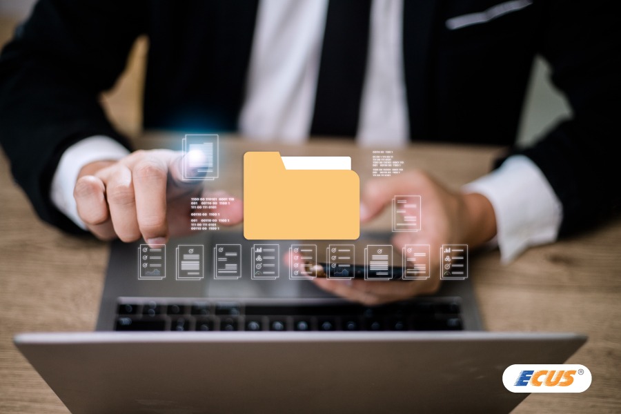 Một số trường hợp không cần tờ khai xuất khẩu điện tử.