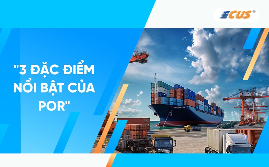 Đạc điểm của POR