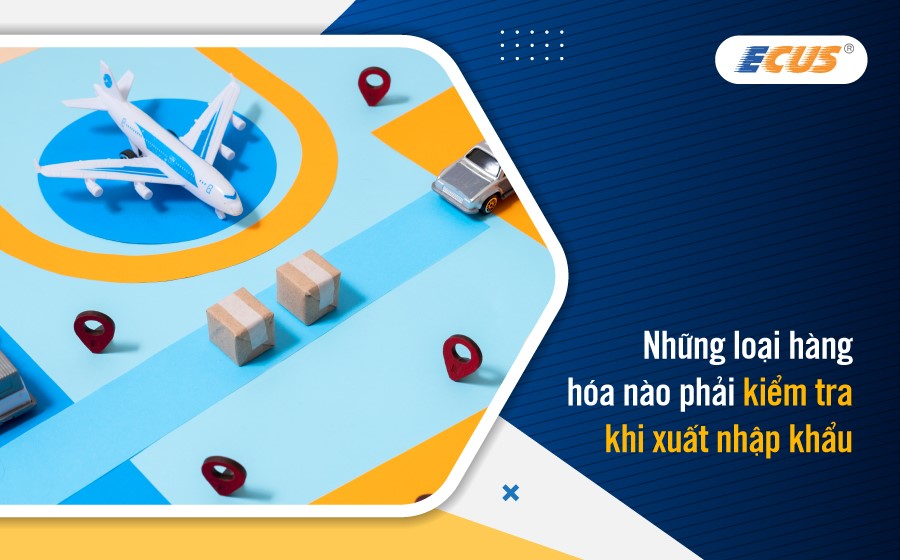 Kiểm tra xuất nhập khẩu