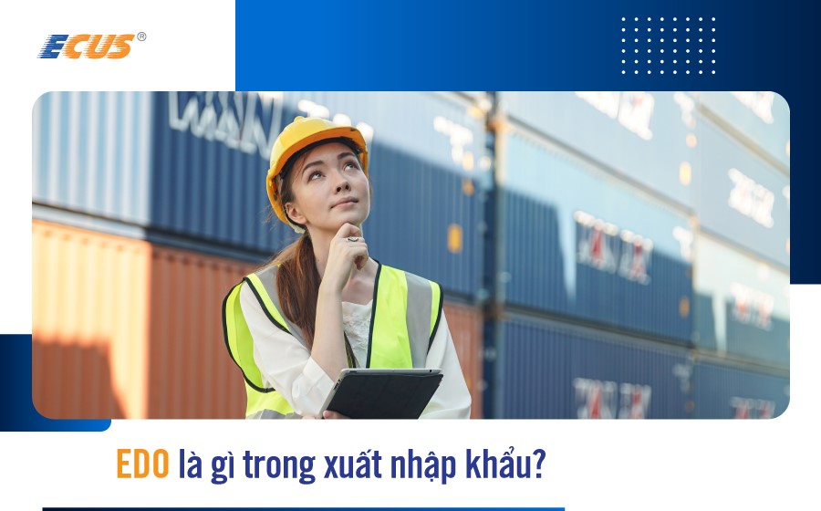 Khái niệm Edo trong xuất nhập khẩu - Lợi ích và quy trình lấy Edo