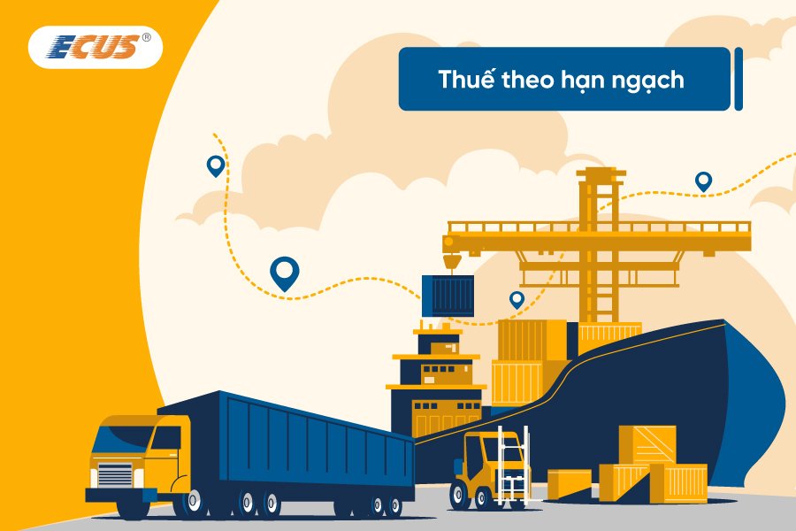 Thuế theo hạn ngạch là gì?  Mục đích của hạn ngạch thuế